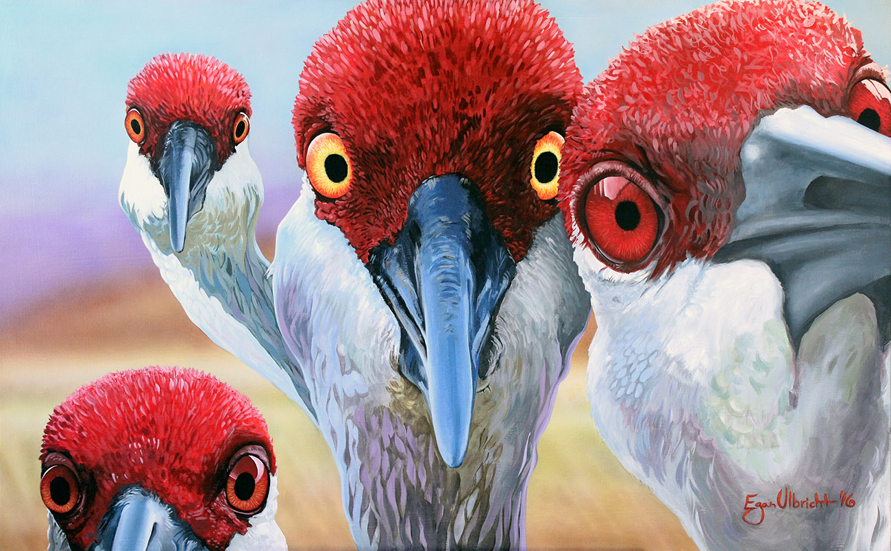 Picture of cranes taking a selfie